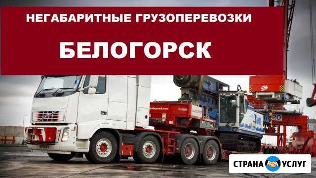 Негабаритные грузоперевозки Белогорск - изображение 1
