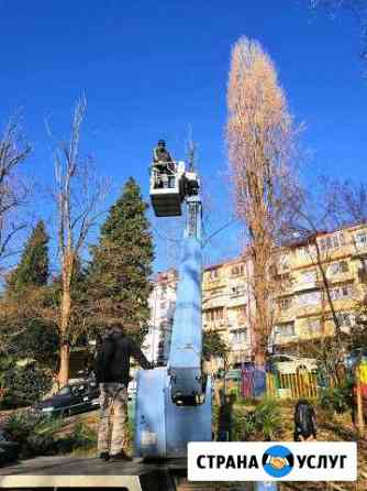 Спил деревьев, расчистка участка Сочи