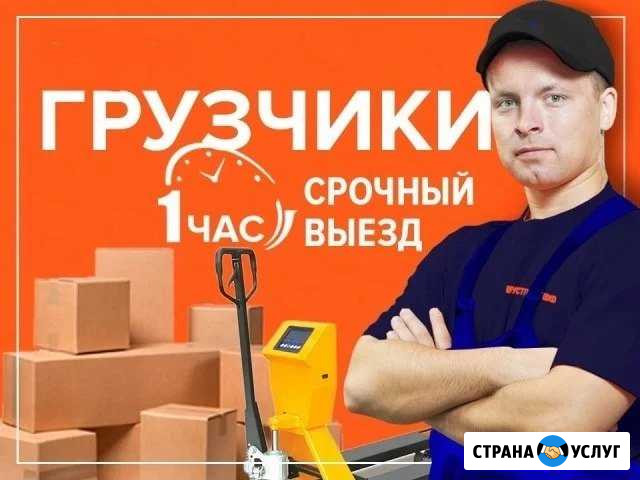 Услуги грузчиков. Без поэтажности. Срочная подача Екатеринбург - изображение 1