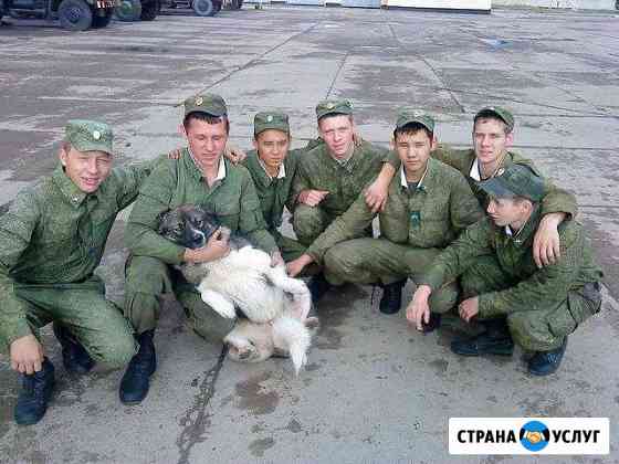 Услуги грузчиков и газели Ижевск
