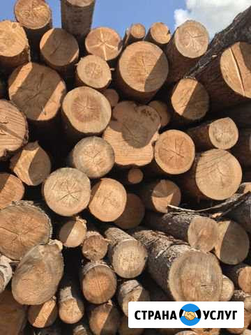 Продам дрова Кудымкар - изображение 1