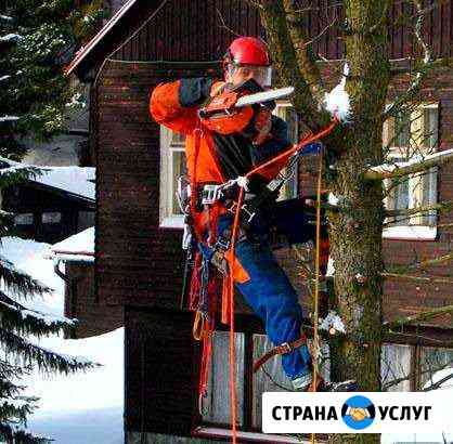 Спил обрезка деревьев прфессионаьно Ростов-на-Дону