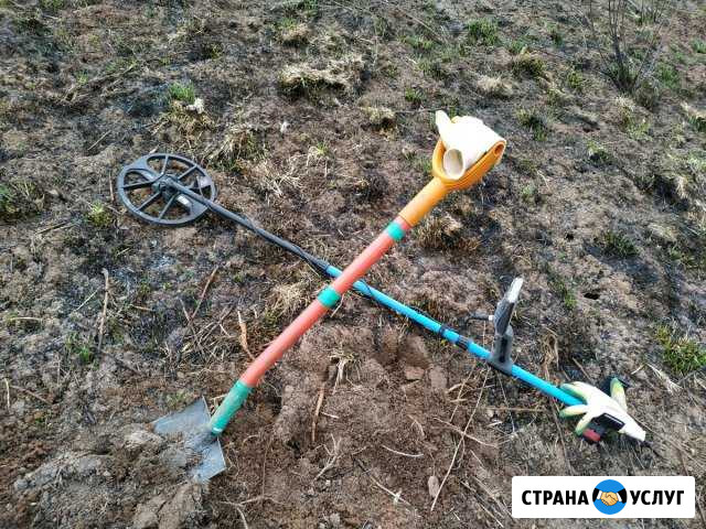 Поиск с металлоискателем. Зачистка участка Великие Луки - изображение 1