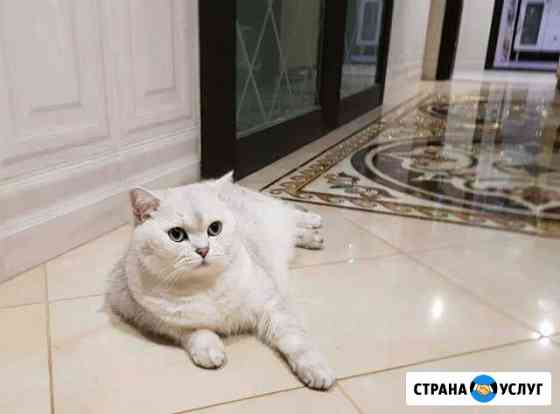 Плиточник Избербаш
