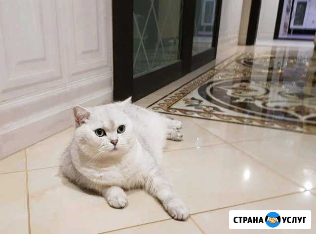 Плиточник Избербаш - изображение 1