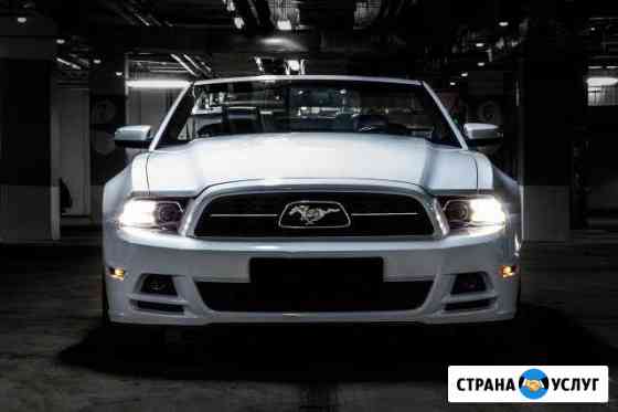 Аренда белого кабриолета Ford Mustang Москва