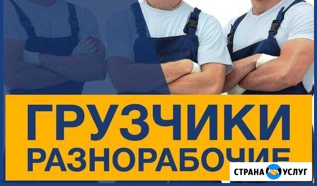 Грузчики разнорабочие Вологда - изображение 1