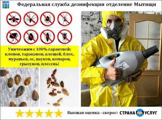 Уничтожение клопов, тараканов, клещей, насекомых Мытищи