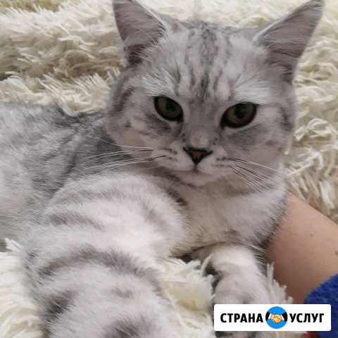 Вязка Киров - изображение 1