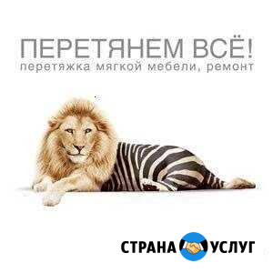 Ремонт и перетяжка мягкой мебели Москва - изображение 1