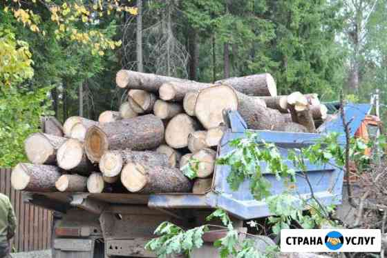 Вывоз и утилизация спиленных деревьев Санкт-Петербург