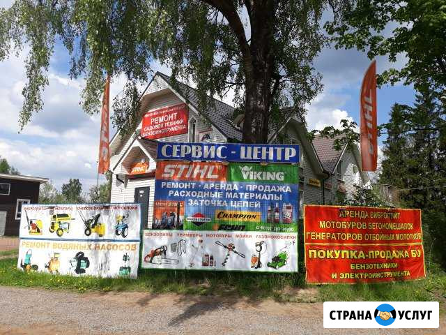 Ремонт бензопил,газонокосилок,виброплит в Токсово Токсово - изображение 1