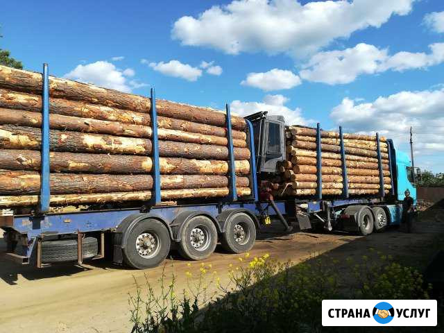 Услуги лесовоза Арзамас - изображение 1