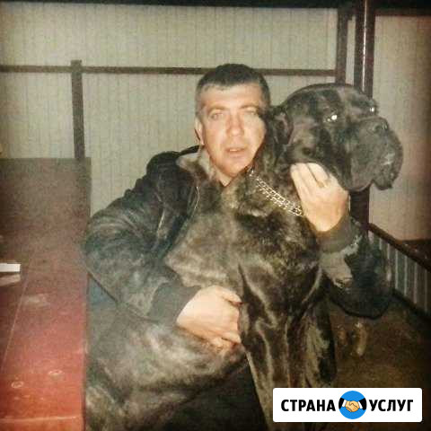 Вязка ц договорная Старолеушковская - изображение 1