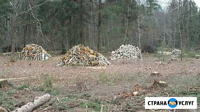 Дрова смесь Новосокольники - изображение 1