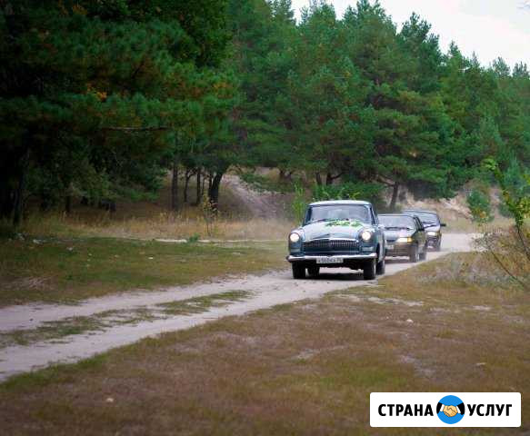 Сдача авто в аренду Нижний Кисляй - изображение 1