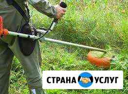 Покос травы и спил деревьев Апшеронск