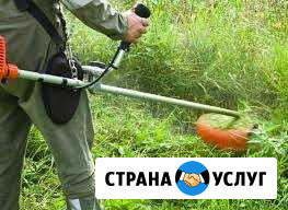 Покос травы и спил деревьев Апшеронск - изображение 1