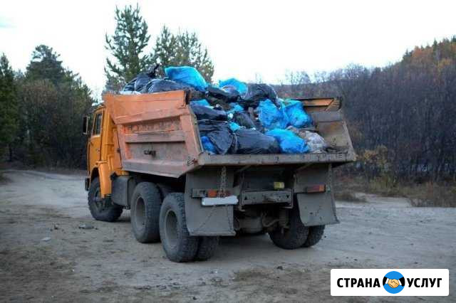 Вывоз мусора Кинель - изображение 1