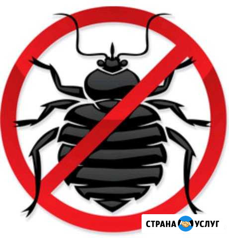 Профессиональная дезинсекция,избавление от клопов Чебоксары - изображение 1