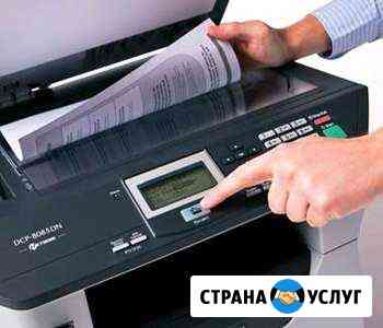 Деловые услуги 24 Альметьевск