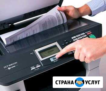 Деловые услуги 24 Альметьевск - изображение 1