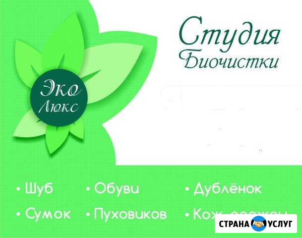 Биочистка одежды Анжеро-Судженск - изображение 1
