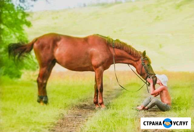 Фотосессии с животными. Фотограф анималист Армавир - изображение 1