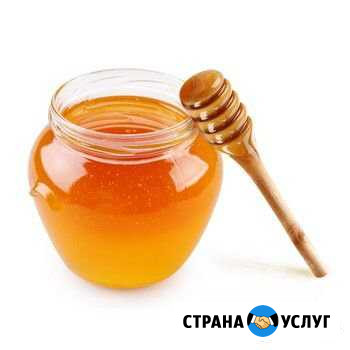 Мёд Архангельск - изображение 1
