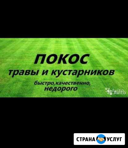 Покос травы,расчистка участков от кустарников,спил Афипский - изображение 1