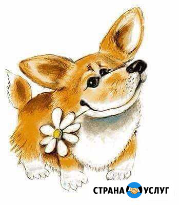 Зоогостиница Балаково - изображение 1