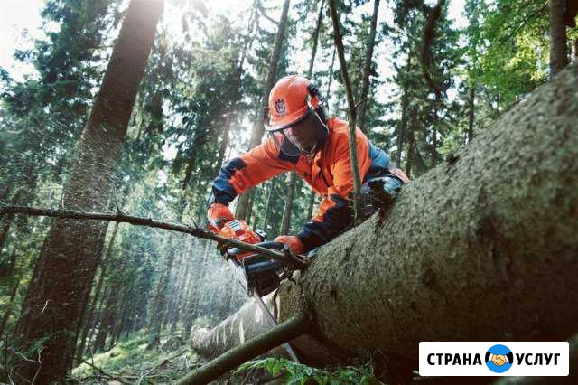 Спил деревьев, вывоз мусора, снос домов, стен, сан Изобильный - изображение 1