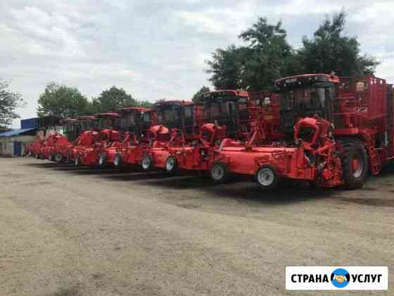 Уборка сахарной свеклы комбайны холмера Выселки