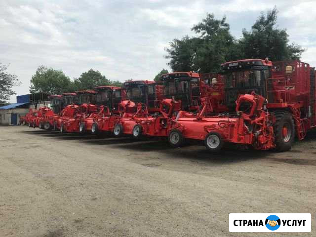 Уборка сахарной свеклы комбайны холмера Выселки - изображение 1
