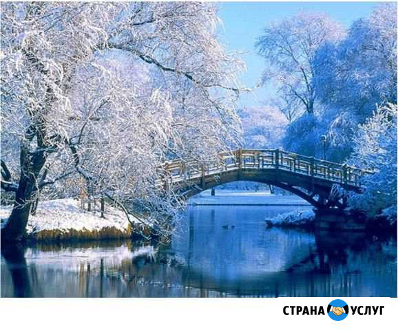 Картины на заказ Камышин - изображение 1