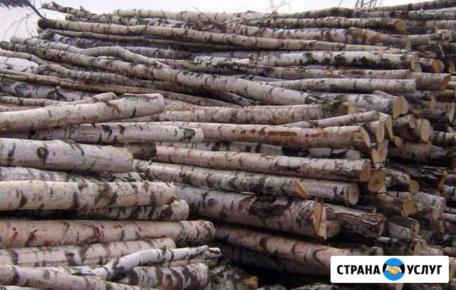 Сад и благоустройство Икша - изображение 1