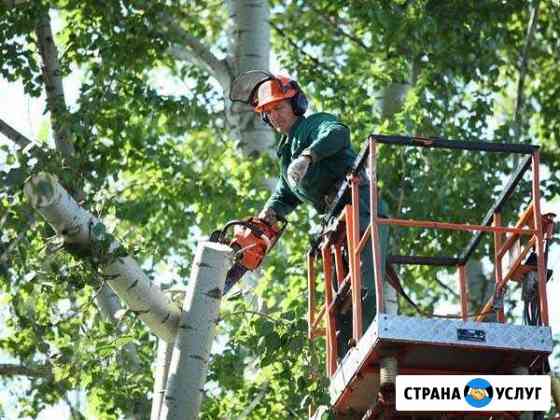 Спил деревьев, услуги автовышки Таганрог