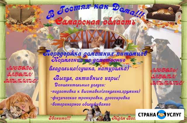Передержка животных собак и кошек Тольятти - изображение 1