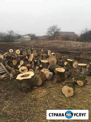Дрова Советская - изображение 1