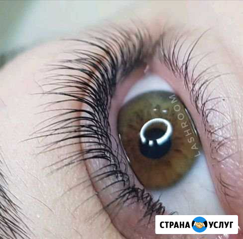 Наращивание и Ламинирование ресниц, брови Выборг - изображение 1