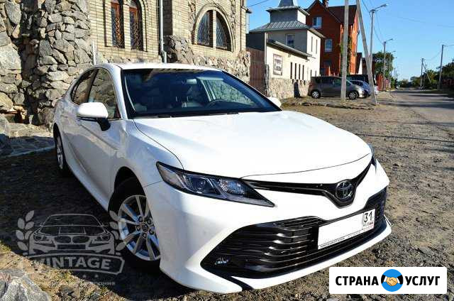 Машины на свадьбу, свадебные украшения Белгород - изображение 1