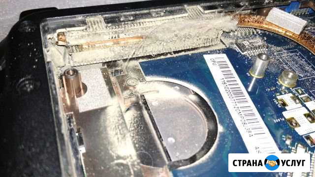 Чистка ноутбука от пыли, замена термопасты Судак - изображение 1