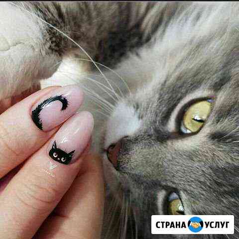 Ищу модель Фролово