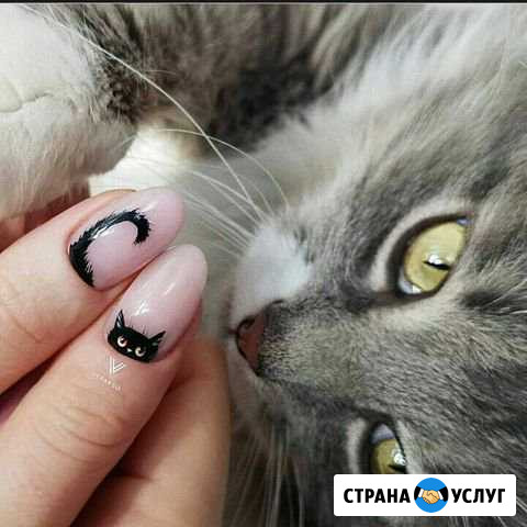 Ищу модель Фролово - изображение 1
