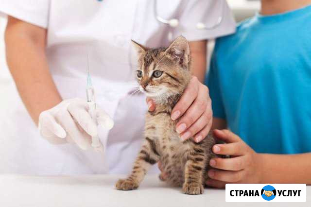 Ветклиника Вороново, Рогово ЛМС - изображение 1