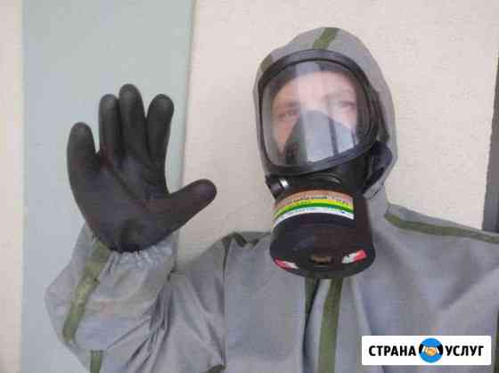 Уничтожение тараканов, клопов Хабаровск, пригород Хабаровск