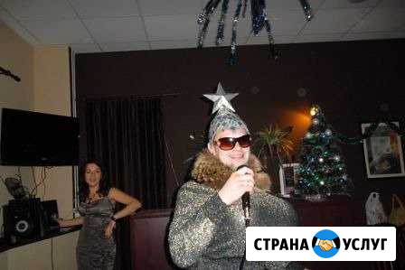 Тандем ведущая (тамада) и диджей Щекино - изображение 1