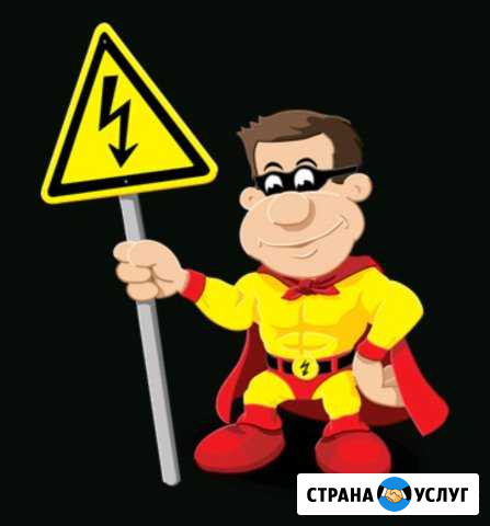 Электрик Лесной - изображение 1