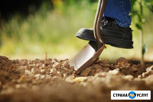 Земельные работы Брянск - изображение 1
