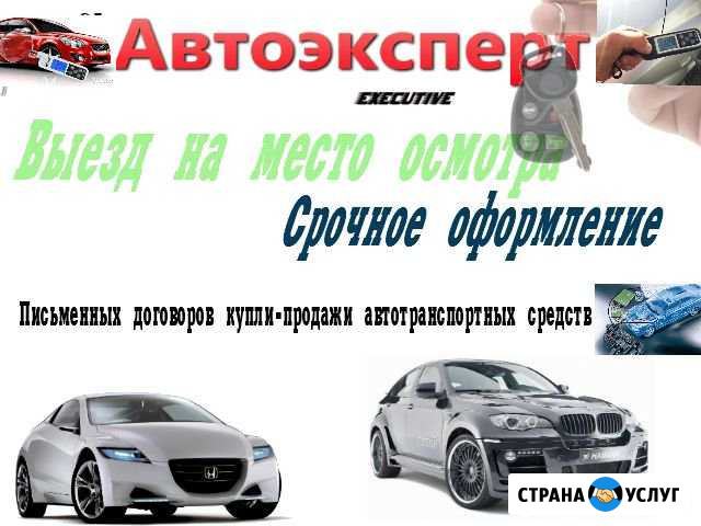Автоэксперт.автоподбор. Помощь при выборе авто Вологда - изображение 1